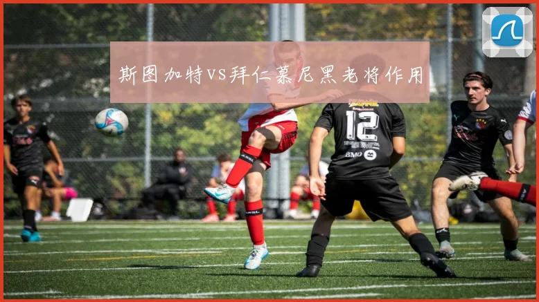 斯图加特vs拜仁慕尼黑老将作用