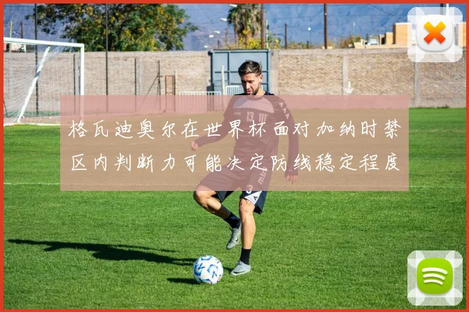 格瓦迪奥尔在世界杯面对加纳时禁区内判断力可能决定防线稳定程度